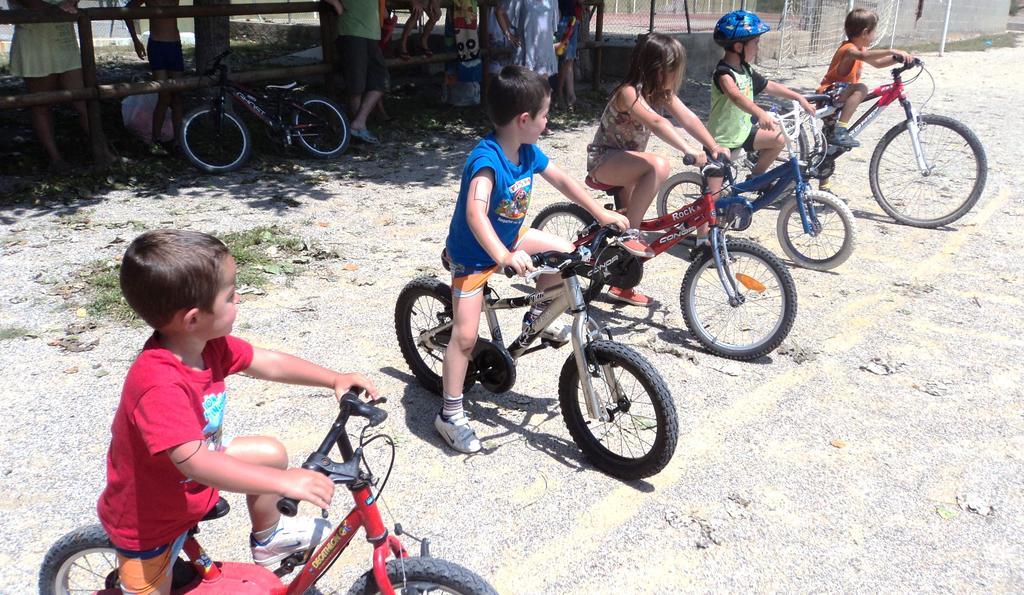 Camping - El Solsones