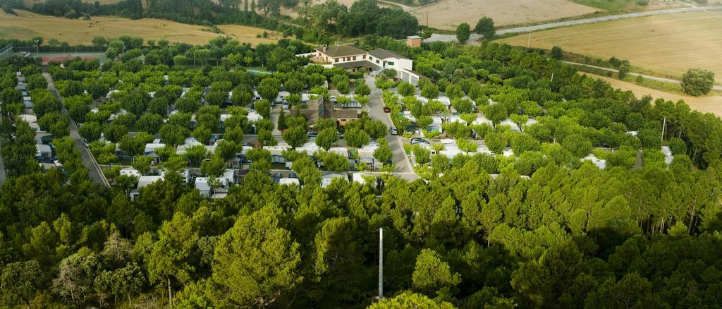 Campsite - El Solsones Solsona